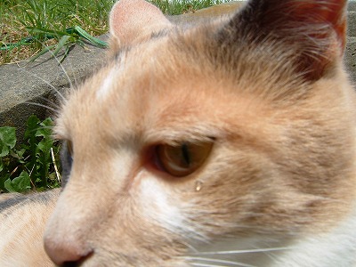 a0034419_1211488.jpg