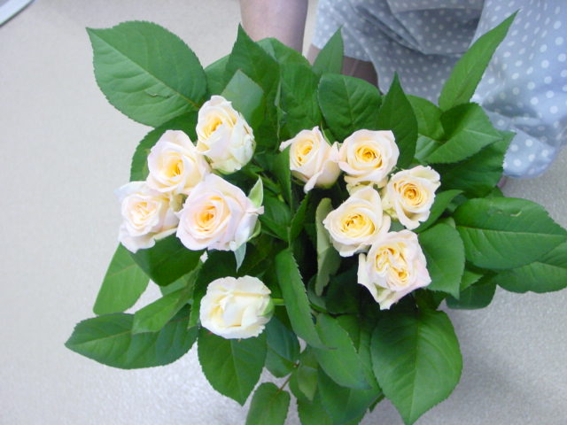 d0025421_18251180.jpg