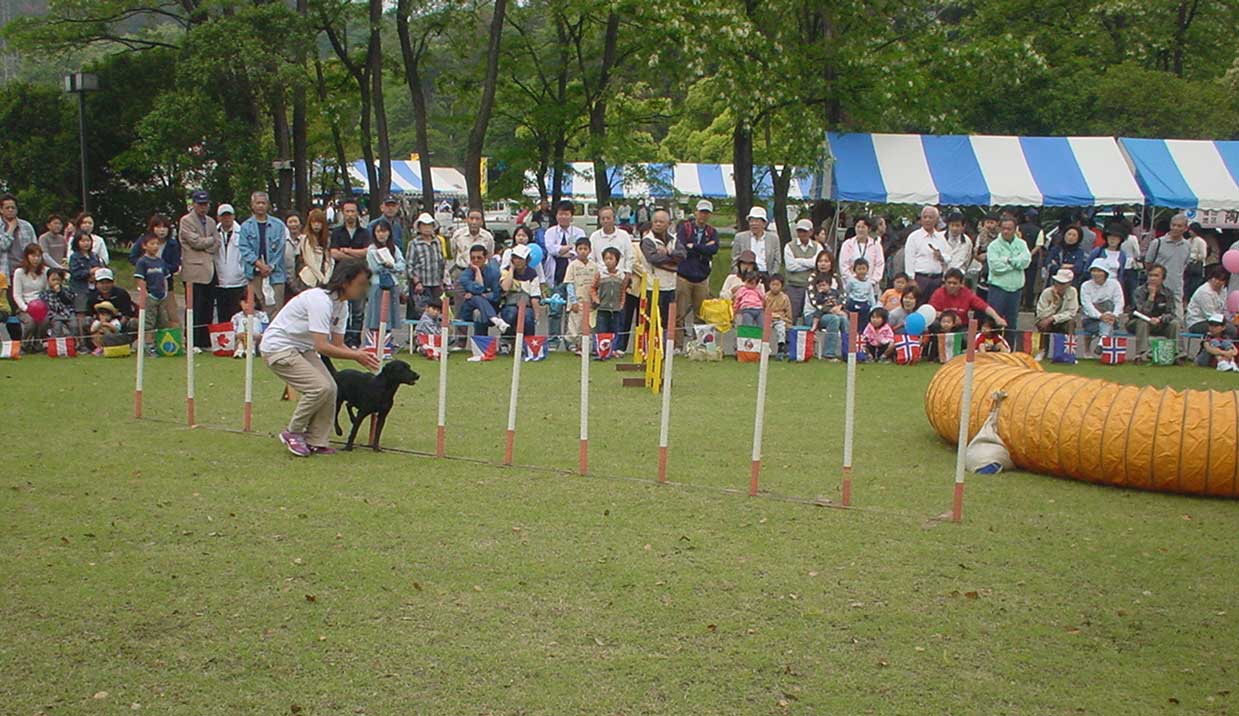 b0066826_18444536.jpg