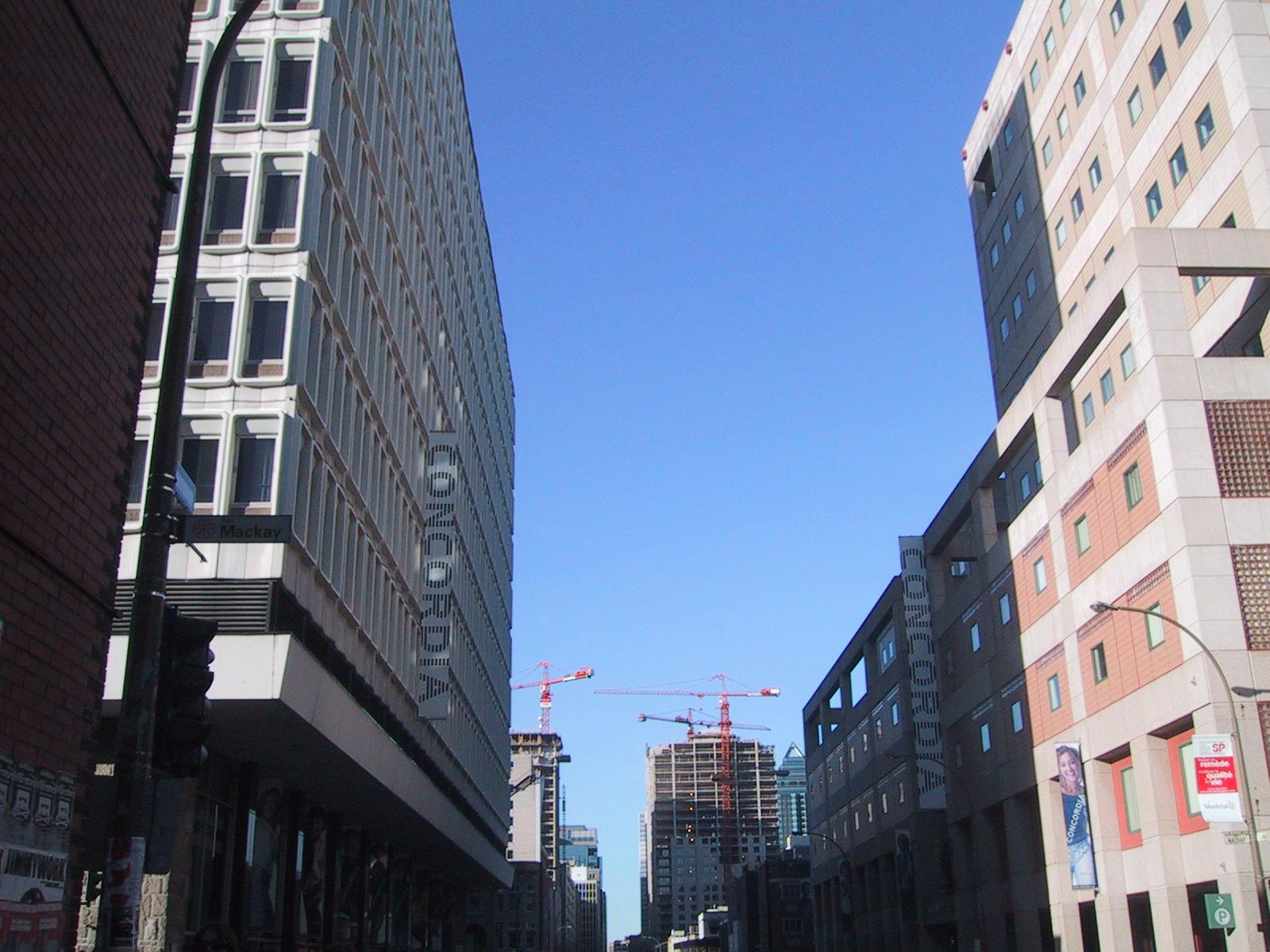 a0027530_046517.jpg