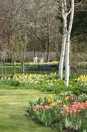 d0001533_16465997.jpg