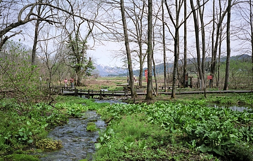 d0001533_16522043.jpg