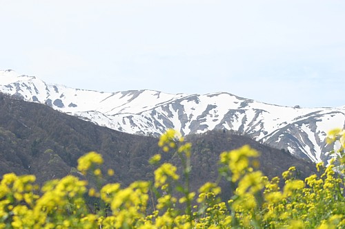 d0001533_16591740.jpg