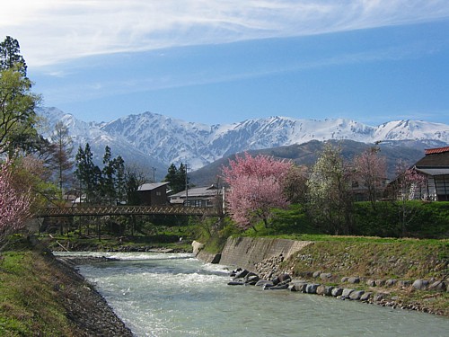 d0001533_1703754.jpg