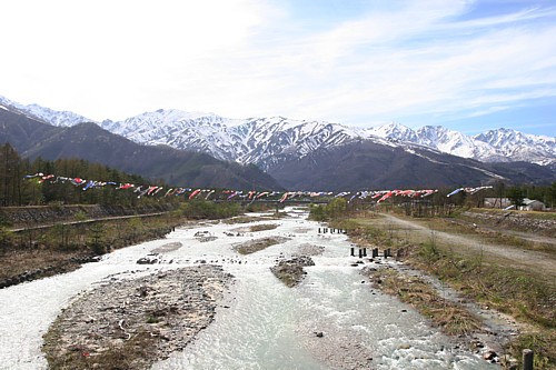 d0001533_1713091.jpg