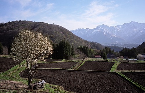 d0001533_1721986.jpg