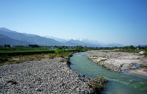 d0001533_1764524.jpg