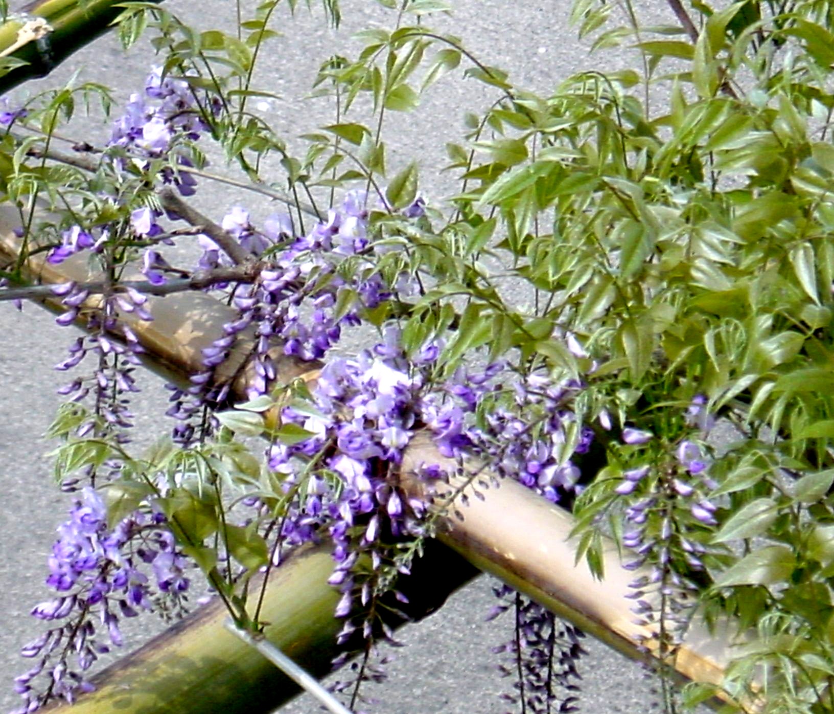 d0037233_15454037.jpg