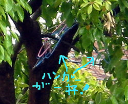 d0039443_01024.jpg