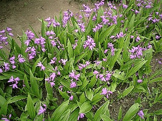 b0066747_0394823.jpg