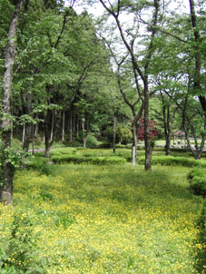 c0069552_22595623.jpg