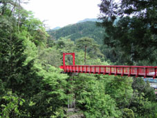 c0069552_234463.jpg