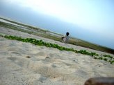 c0035962_23271136.jpg
