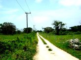 c0035962_23284822.jpg