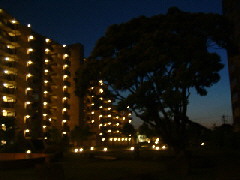 b0009665_1583429.jpg