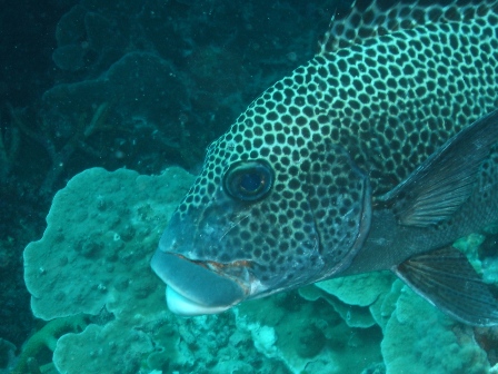 b0007267_23494829.jpg