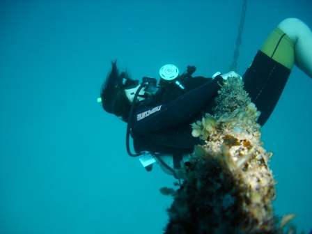 b0007267_23515447.jpg