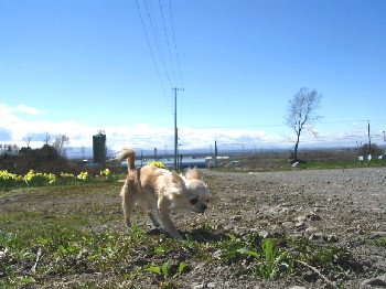 a0016775_20103840.jpg