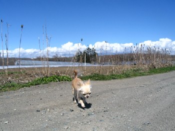 a0016775_20114231.jpg