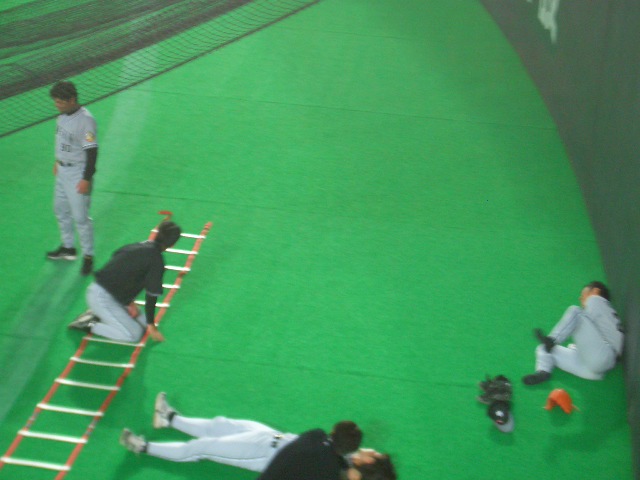 c0039690_1114366.jpg