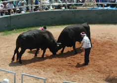 c0068090_20311847.jpg
