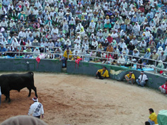 c0068090_20353842.jpg