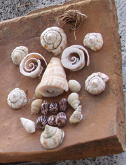 c0068090_9375412.jpg