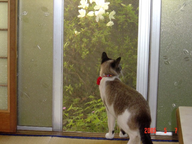 a0005691_4404964.jpg