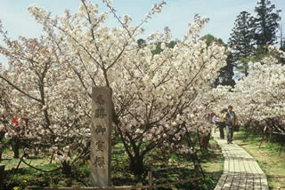 d0004296_223546100.jpg