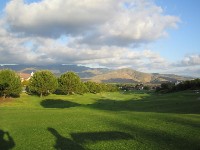 b0043897_1564448.jpg