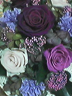b0001204_1420586.jpg