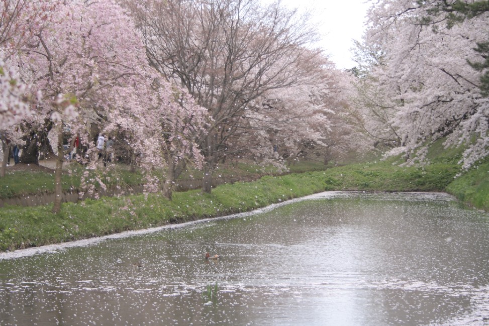 b0018112_10224050.jpg