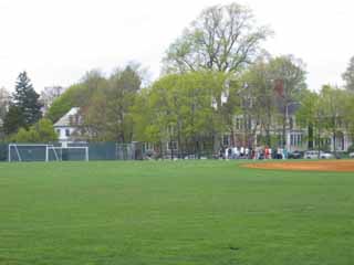 c0055212_1316378.jpg