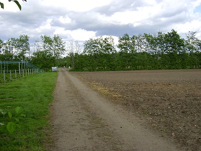 b0026829_1484497.jpg