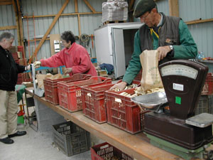 b0069848_16561886.jpg