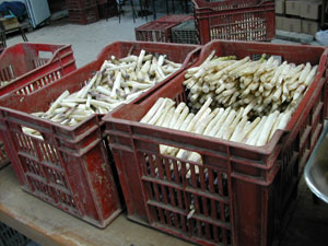 b0069848_1712465.jpg