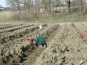 b0069848_17202077.jpg