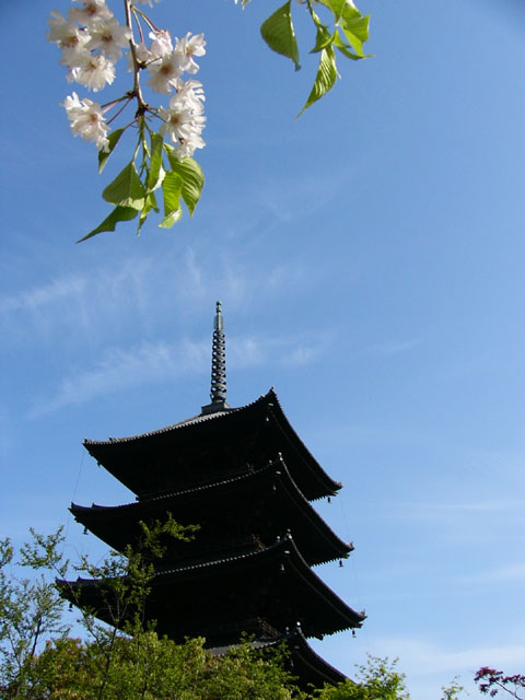 a0024250_5462598.jpg