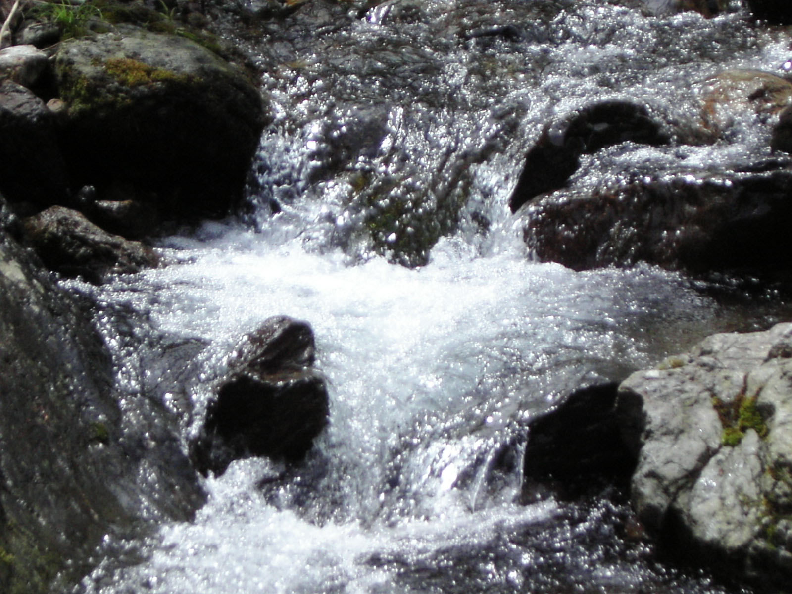 c0069552_0113116.jpg