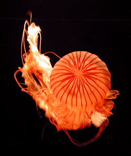 c0009070_035517.jpg
