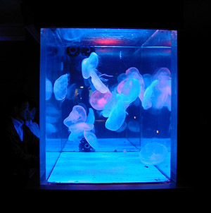 c0009070_0363884.jpg