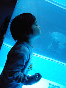 c0009070_0373938.jpg