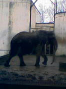 c0023076_14411371.jpg