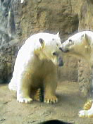 c0023076_14411420.jpg