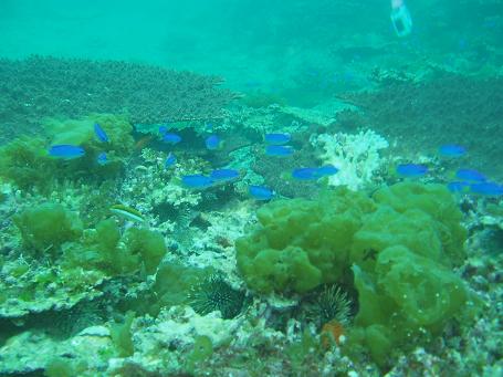 b0015089_10165558.jpg