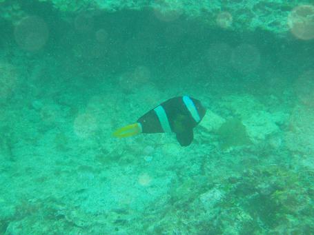 b0015089_10201594.jpg