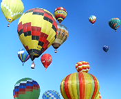 d0007990_0381569.jpg