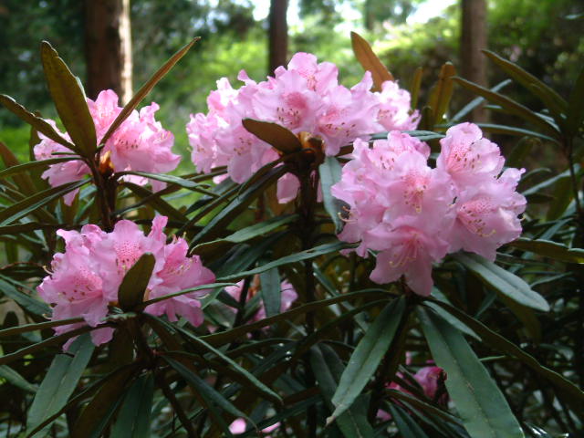 b0044296_20235189.jpg