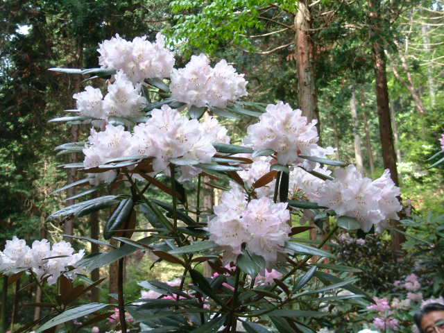 b0044296_2029490.jpg