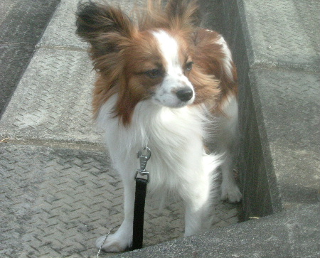c0044199_23205676.jpg